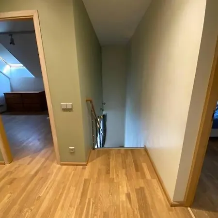 Spacious And Modern Διαμέρισμα Ταλίν
